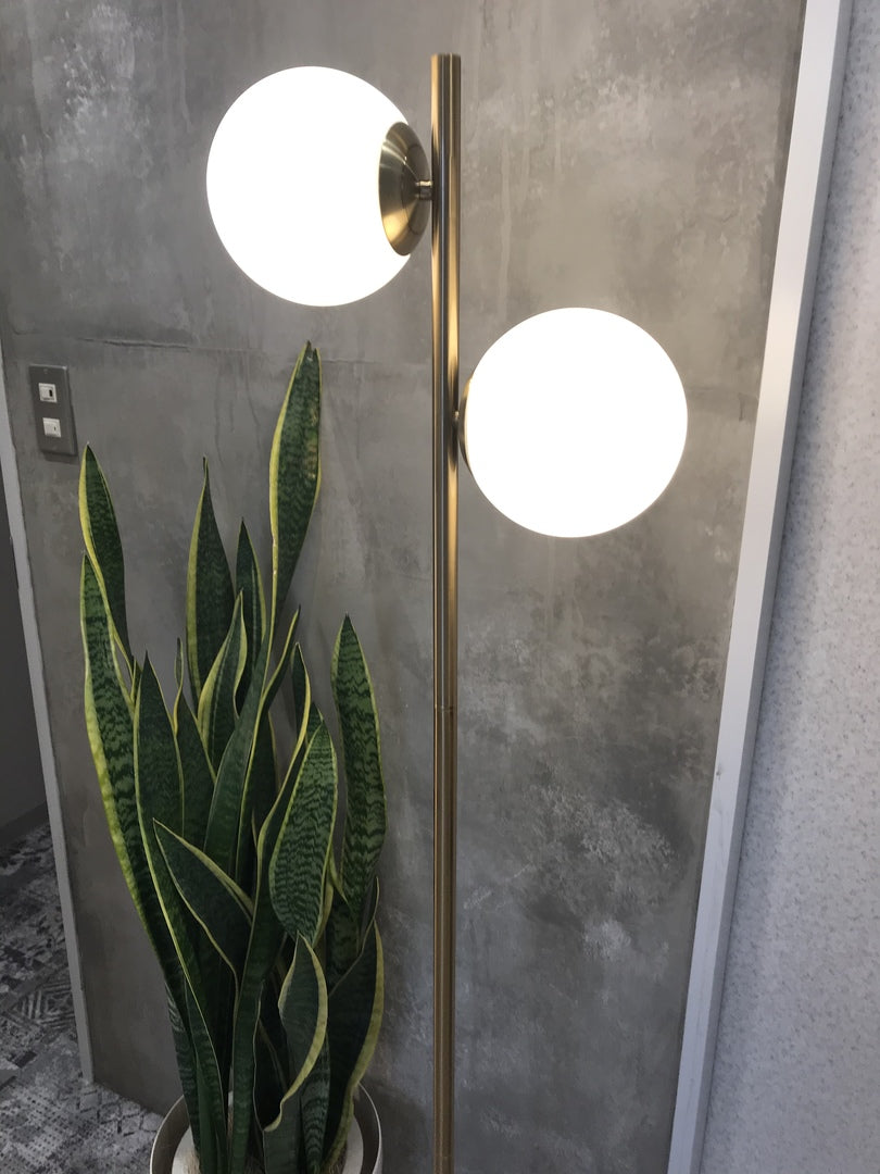 フロアライト　フランフラン Amazon.co.jp : Francfranc フランフラン スカラップ フロア