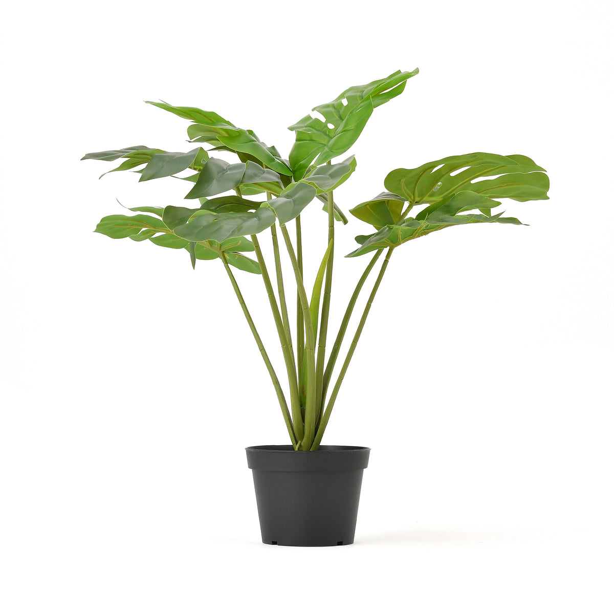 アートグリーン モンステラポット L | Francfranc（フランフラン）公式