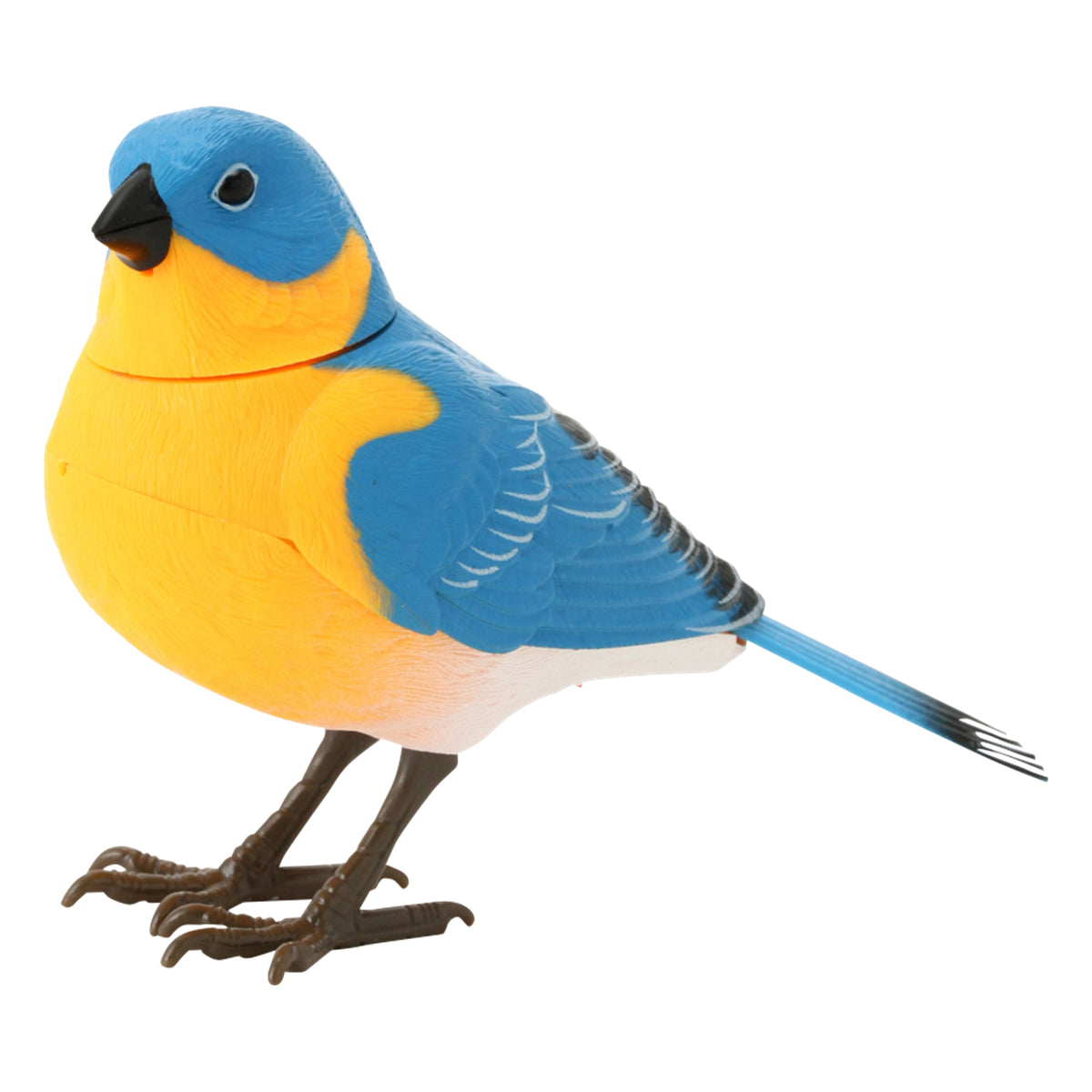 1103130164907_A_1200x1200.jpg?