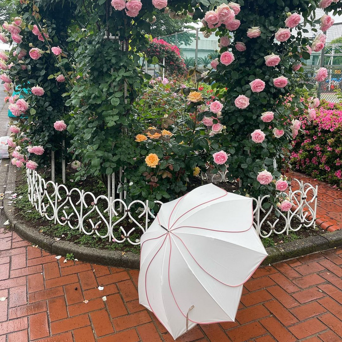 花びらに包まれたようなシルエットの傘で雨の日のお出掛けも楽しく