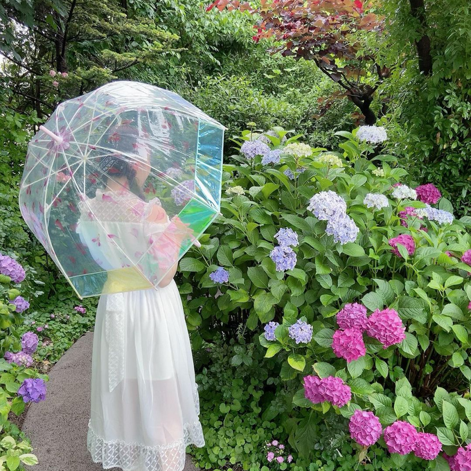 地面に落ちる影も可愛い、お花柄がプリントされたオーロラ加工の長傘