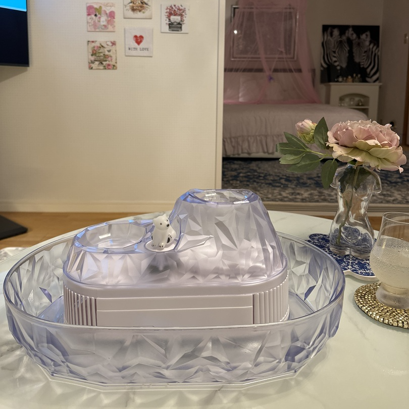 4308213_810x.png?v=1723689907