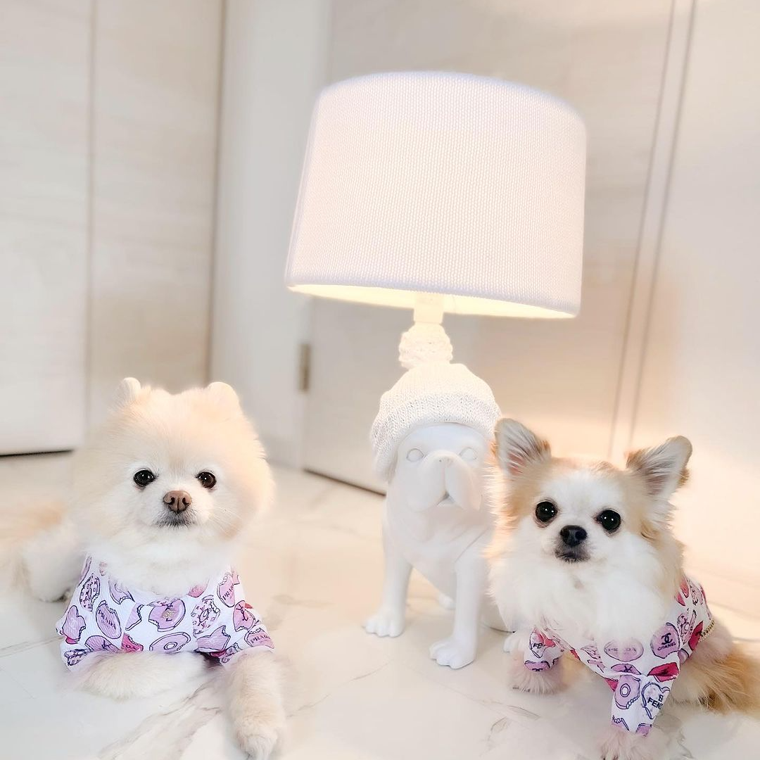 オブジェとしても可愛い、フレンチブルドッグのテーブルランプ オブジェとしても可愛い、フレンチブルドッグのテーブルランプ