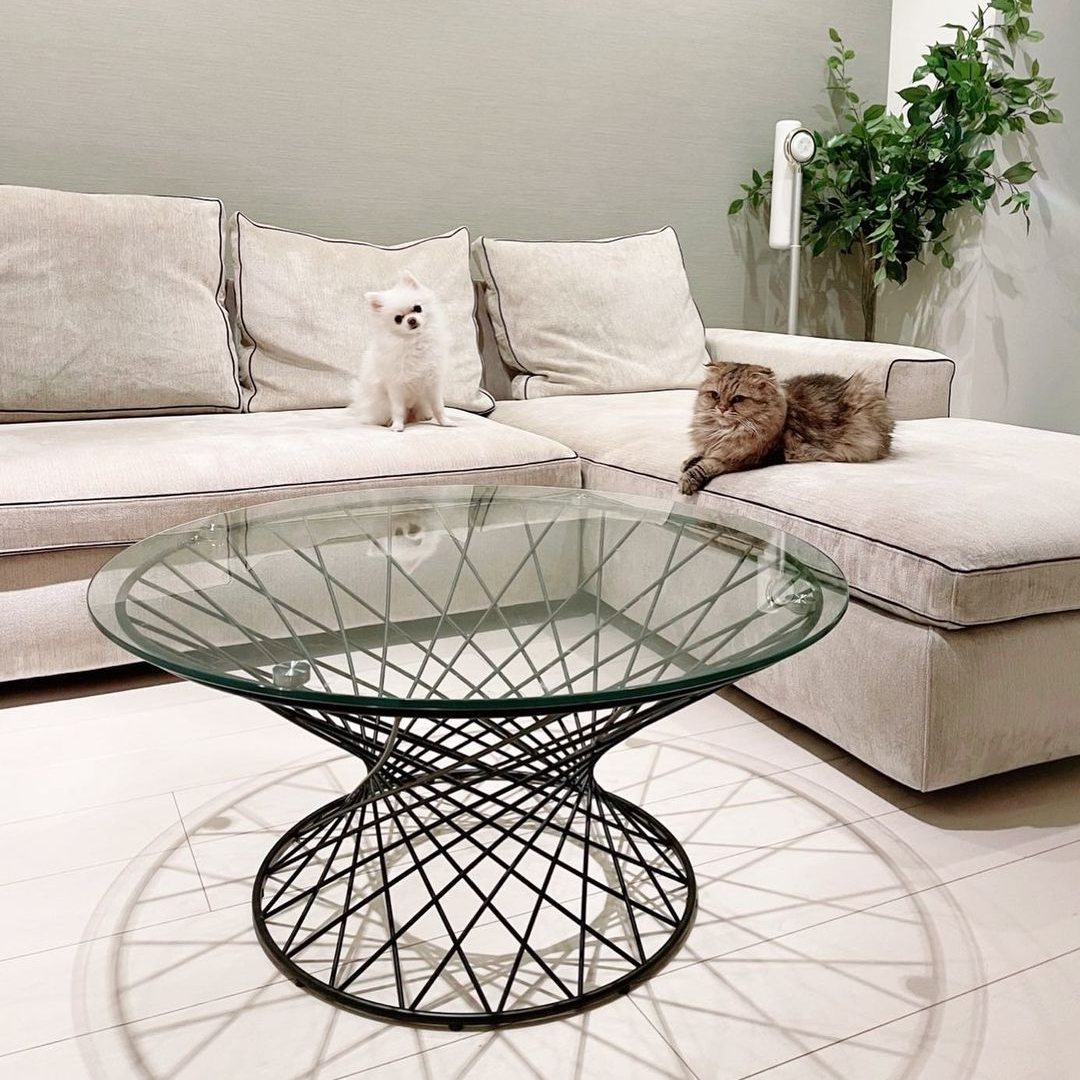 Francfrancテーブル(美品) Francfrancテーブル(美品)