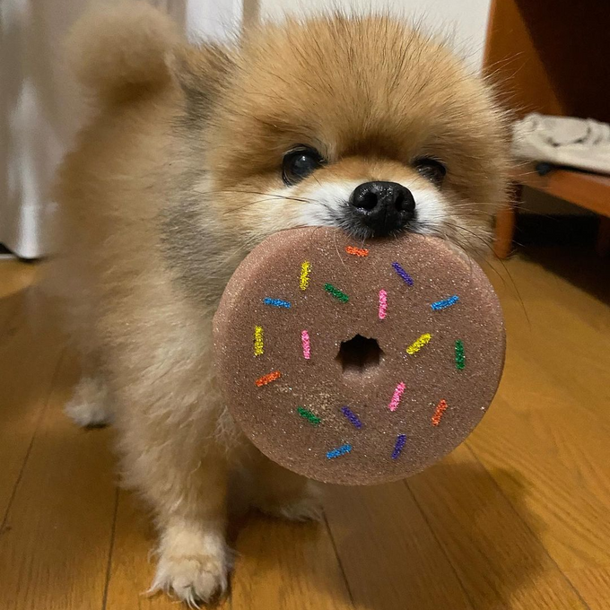 毎日の食器洗いを楽しくしてくれる、ドーナッツ型のキッチンスポンジ