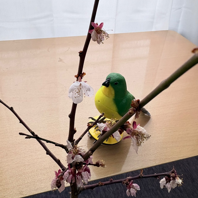 毎日のひとときに、ほっと和む時間を。デスクに春を運ぶキュートな小鳥のオブジェ