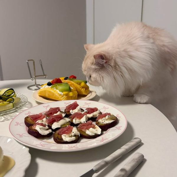 細いリボンをリム部分にプリントしたプレートで食卓にときめきを