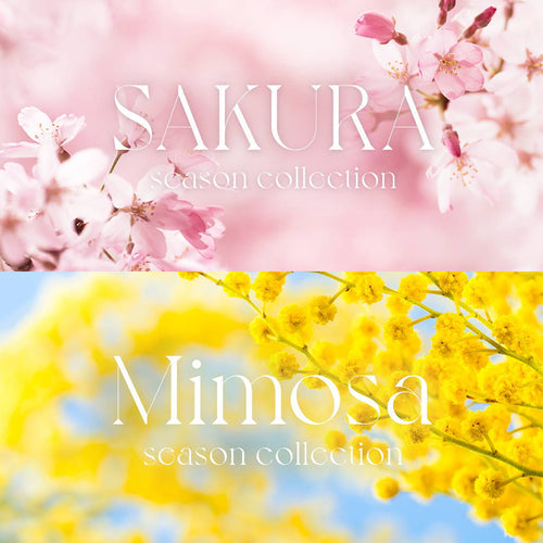 優しい春の香りに包まれる｜シーズンコレクション サクラ・ミモザ