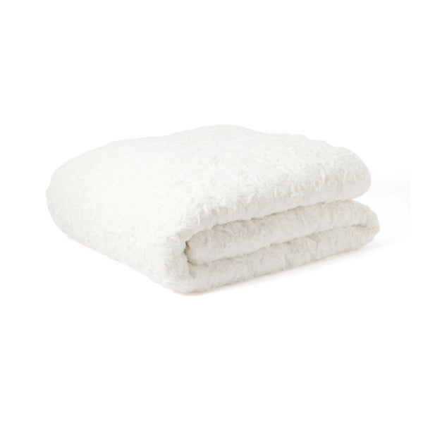 Francfrancミニこたつ ボディーヌこたつ布団つき 楽天市場】【SALE／20%OFF】Francfranc 【オンラインショップ限定