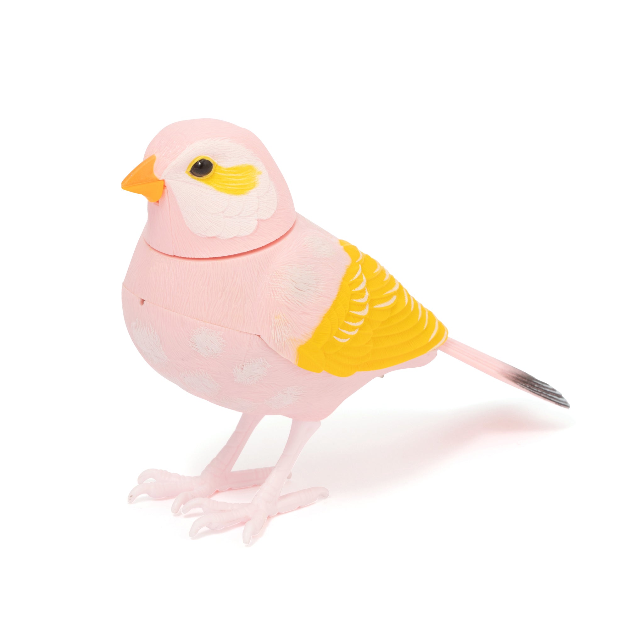 人感ミュージックバード クリップ ピンク
