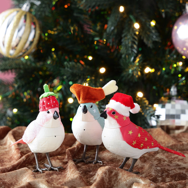 ミュージックバード クリスマス ベリー ピンク