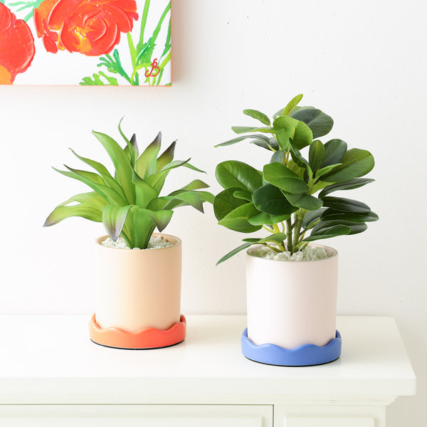 ポット付きアートグリーン アガぺ S