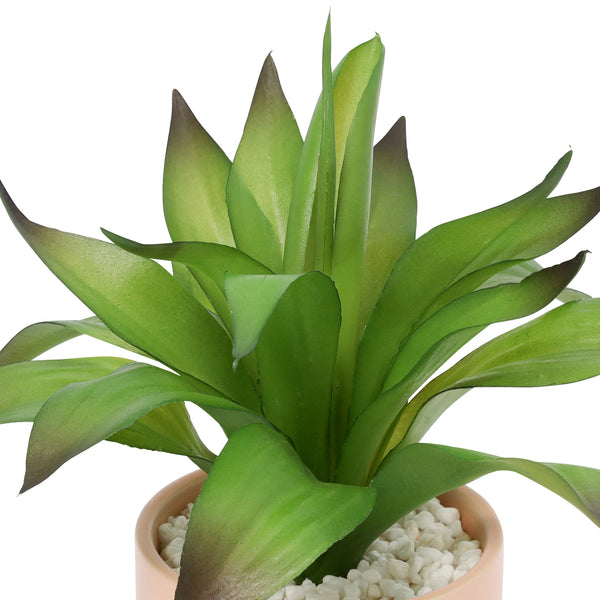 ポット付きアートグリーン アガぺ S