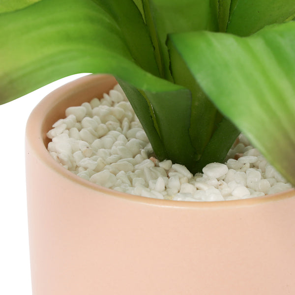 ポット付きアートグリーン アガぺ S