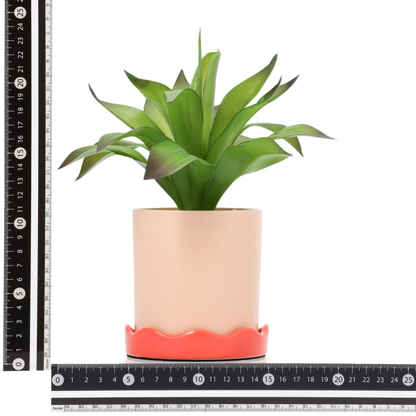 ポット付きアートグリーン アガぺ S