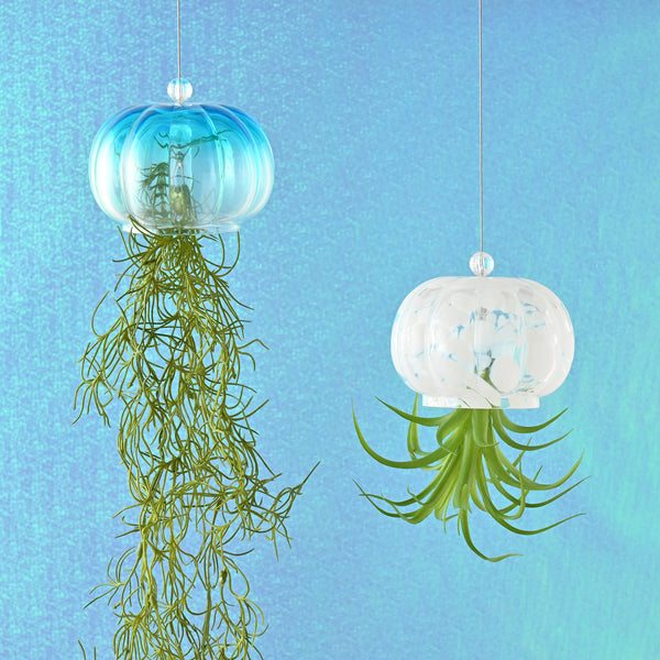 アートグリーン ジェリーフィッシュ ホワイト