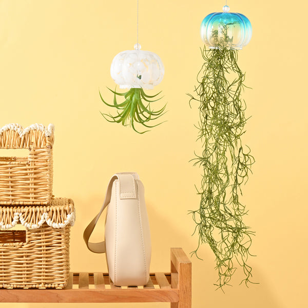 アートグリーン ジェリーフィッシュ ホワイト