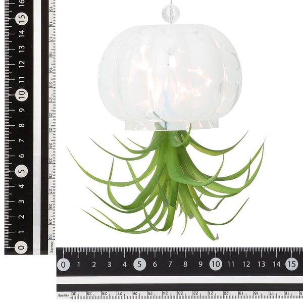 アートグリーン ジェリーフィッシュ ホワイト