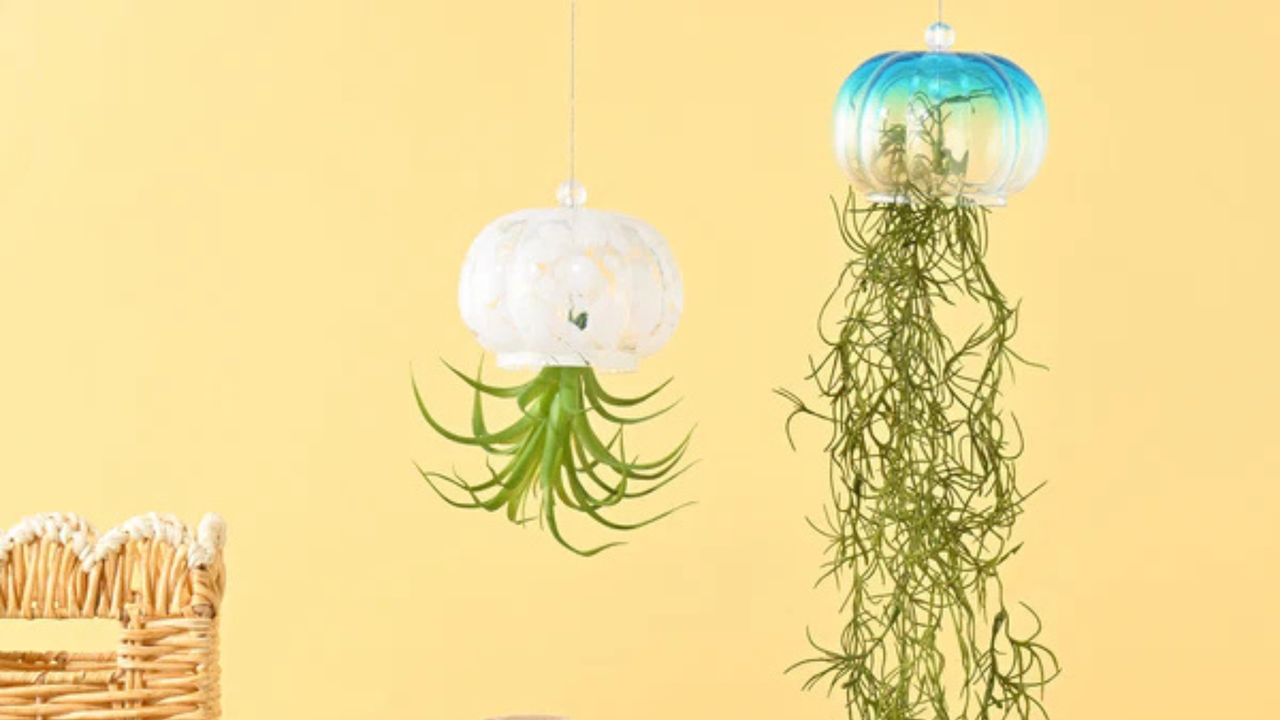 吊るして楽しめる、クラゲモチーフのアートグリーンです。ガラス素材が涼しげな印象を演出し、空間に軽やかなアクセントをプラスします。