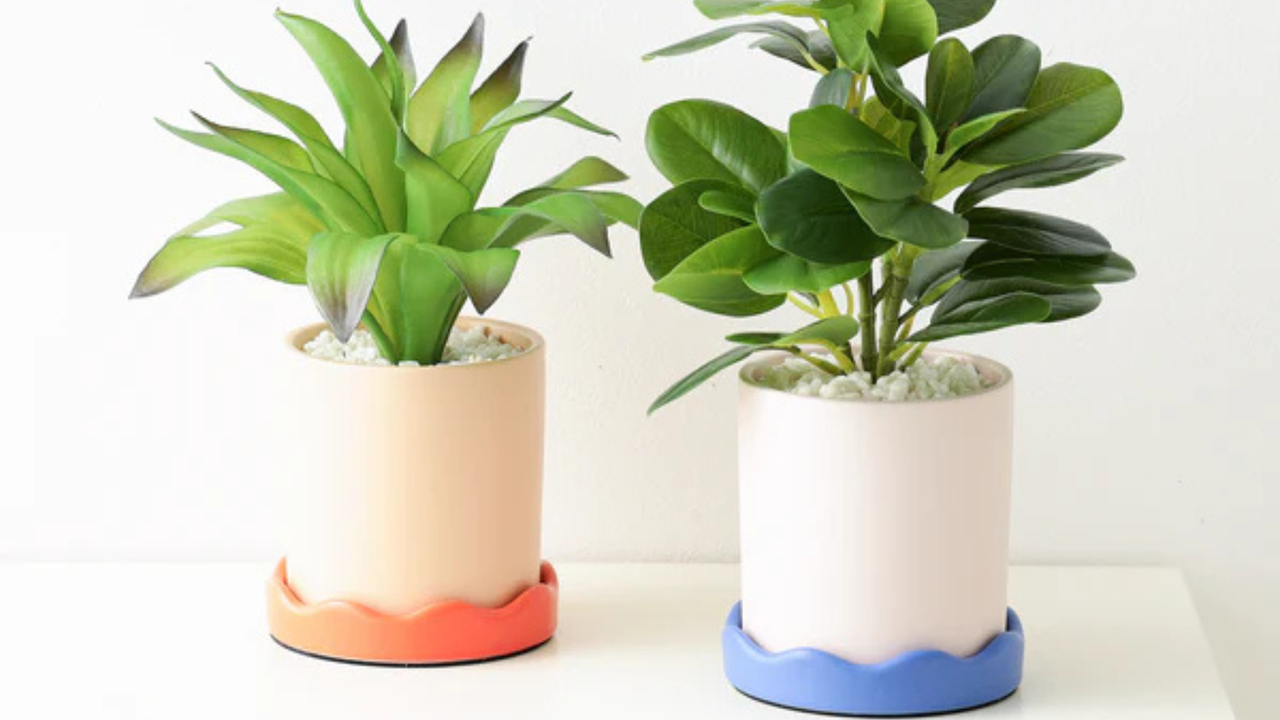 遊び心のあるデザインが魅力のポット付きアートグリーン。デスクやサイドテーブルに置きやすいコンパクトサイズで、手軽にグリーンのある暮らしを楽しめます。